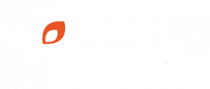 logo primesenergie.fr travaux economies energie